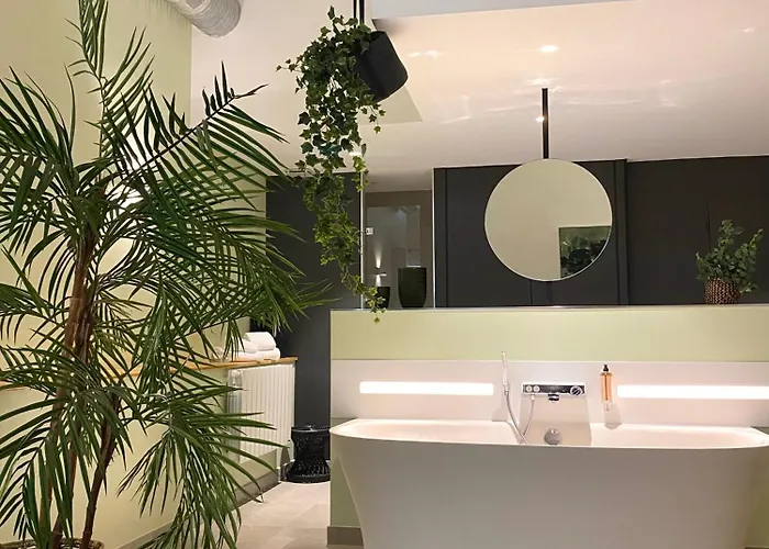 Hotel Mihotel Comte *