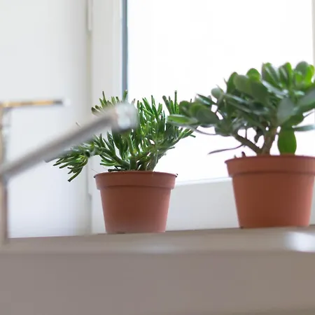 Hotel Mihotel Comte *