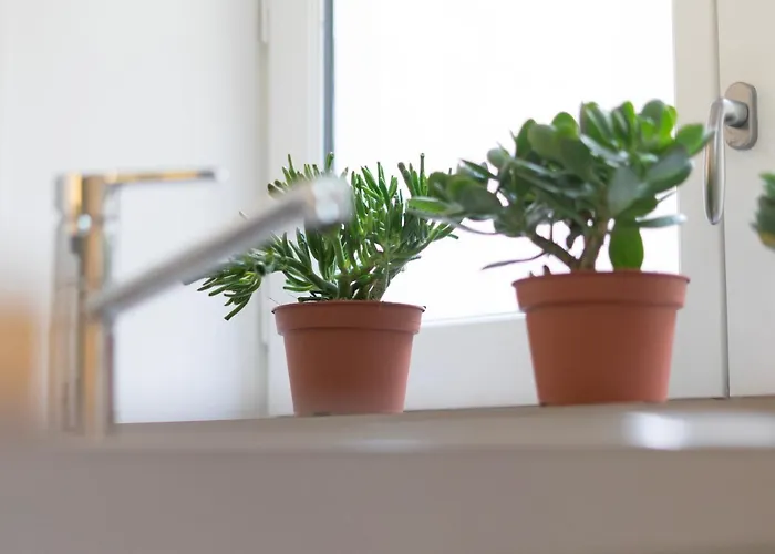 Hotel Mihotel Comte *