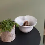 Mihotel Comte Лион